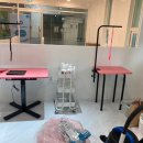 꽁꼼하개 이미지