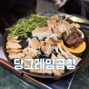 광안리 애견동반식당 당그레양곱창 광안리양곱창 후기