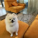 월월월 앳더 모먼츠 네이버블로그