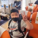 제주특별자치도유도회 | 2022년 고창 고인돌배 생활체육 전국유도대회 참가 후기.