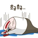 호생한의원 이미지