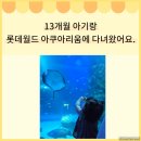 롯데월드아쿠아리움 | 13개월 아기랑 함께 다녀온 롯데월드 아쿠아리움 후기