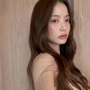 고향마트 이미지