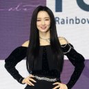 퍼플키스 티스토리