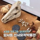 서울 암사동 유적 화장실 | 추운 겨울, 아이와 실내데이트는 여기! 암사동 선사유적박물관 200% 즐기기