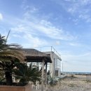 거기회센타 | 제주 구좌읍 카페 ‘카멜커피’ &amp; ‘아베베 베이커리 비킬라’ / 방어 맛집 ‘만배회센타’ 솔직 후기