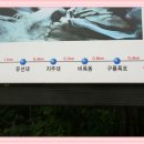 원동건강원 - 포항시 남구 정몽주로669번길 6-3 | 원동건강원