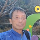 인제14-1 이미지