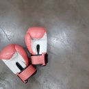 바이오 복싱짐 | 여자 복싱 후기 : 11일차 복린이가 느낀 점