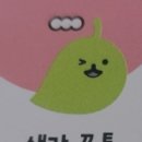 (주) 남다른여행 이미지