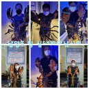 남양주탑실내바다낚시터 이미지