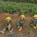 은호농장 이미지