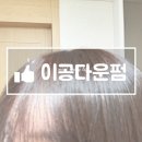 셀프다운펌 이공다운펌 집에서 손쉽게 사용해본 후기