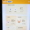와이펫 이미지