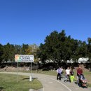 홍우농장 | [브리즈번] 호주 어학연수 #4 :: 2024 EKKA 후기