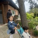 없   음 | 태안여행 블루웨이브 성관호수산 가성비 서비스 모두 만점