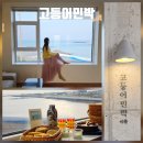 오션뷰펜션민박 | 제주 월정리 숙소 추천 동쪽 제주도 오션뷰 펜션 고등어민박