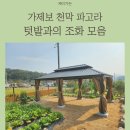 텃밭가든 | 텃밭의 실용성과 낭만을 동시에! 케이가든 가제보 천막 파고라 시공기
