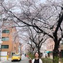 이유영 카카오 검색결과