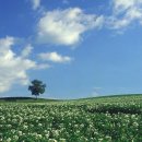 보석여행사 - 익산시 선화로 186 | 보석여행사