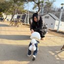 오독오독 - 익산시 익산대로26길 27 | 원주 애견카페 강아지 야외 운동장 오독오독 내돈내산 방문 후기