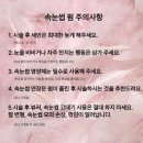 테오트리 이미지