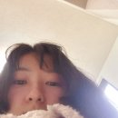 (주)알리앙스 네이버블로그