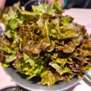 하남돼지집 | [녹번 맛집] 구워주는 고기 끝판왕, 하남돼지집 솔직 후기