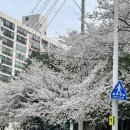 만수숯불갈비(만수식당) | 반점, 감투밥식당, 너구리식당, 한훤당 고택, 팔공노을철판구이, 청송숯불갈비, 삼육식육식당, 만수통닭