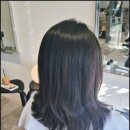 본헤어샵 네이버블로그