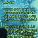 깐띠아모라이브카페 이미지