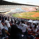 하란영화관 이미지