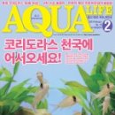 아쿠아라이프 이미지