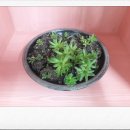 율리농장 이미지