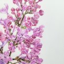 색연필 보태니컬 아트 이미지