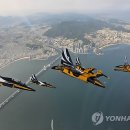 블랙이글 이미지