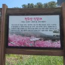 [울산안내산악회] 4월6일(토) 창원 천주산 진달래꽃 산행 + 진해 해양공원 트레킹 이미지