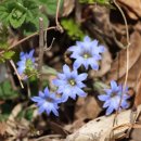 기계봉좌마을 이미지