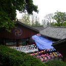 [서울] 석가탄신일 절 나들이 ~ 도심 속에 숨겨진 아늑한 암자, 상도동 사자암 이미지