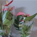 청포농원 이미지