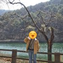 송곡지 | [찐리뷰] 대전 이색카페 추천- '엔학고레' 카페 공간만 둘러본 솔직후기