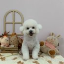 월드타워7차 이미지