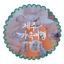 제주 동문재래시장 야시장, 다양한 주전부리 먹은 후기 :9