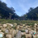 개별 화장실 있는 조용하고 뷰 좋은 힐링 캠핑장 &#39;우니메이카 철원점&#39;