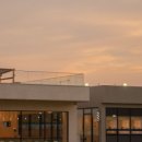 개들랜드 이미지