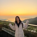 5850 | 아디다스 여성용 패딩/ 우먼스 아디컬러 3S 슬림 패딩 자켓(IW 5850)