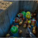 인지농장 이미지