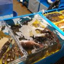 코코수산 이미지