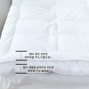 세일물산 이미지