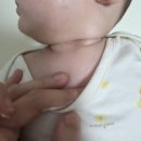 SG과학 | 궁중비책 베이비모이스처크림 100시간보습 | 신생아부터 쓰기 좋은 보습력 좋은 아기크림🩷